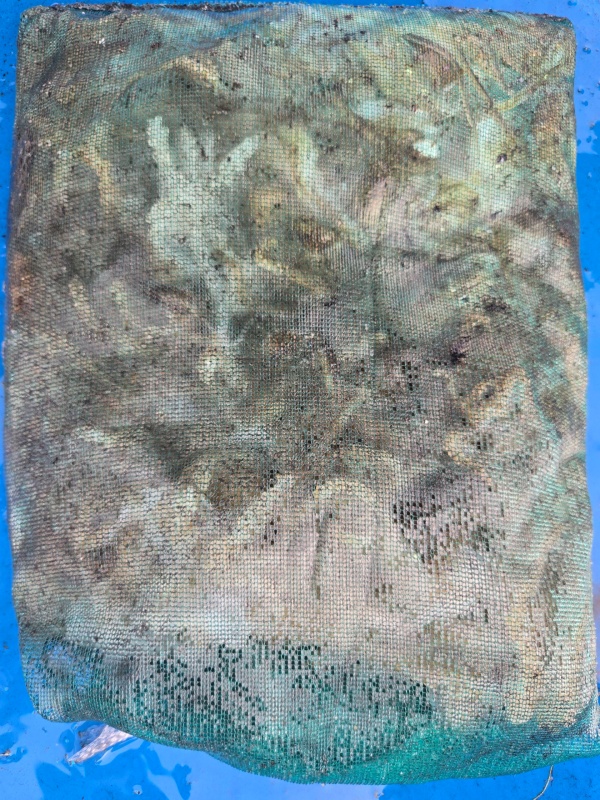 7c3736e20e0135d7b9fabd3f105b524a_1790422854_091.jpeg