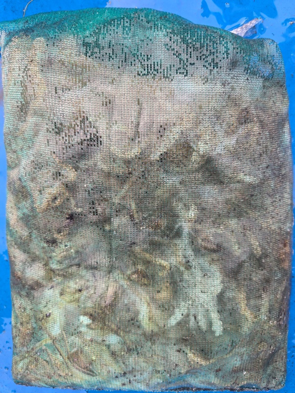 7c3736e20e0135d7b9fabd3f105b524a_1790422869_3005.jpeg