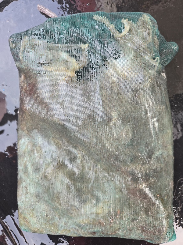 7c3736e20e0135d7b9fabd3f105b524a_1790422869_4264.jpeg