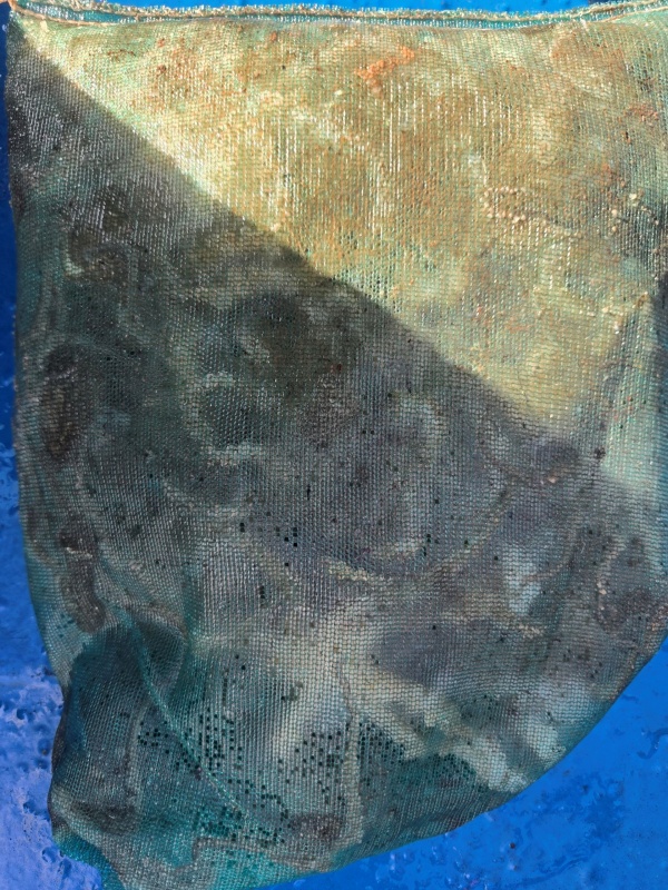 85ca051c92ad1781eb53d7ad42cedbba_1789817685_6786.jpeg