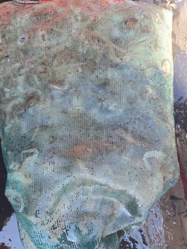 85ca051c92ad1781eb53d7ad42cedbba_1789992226_5291.jpeg