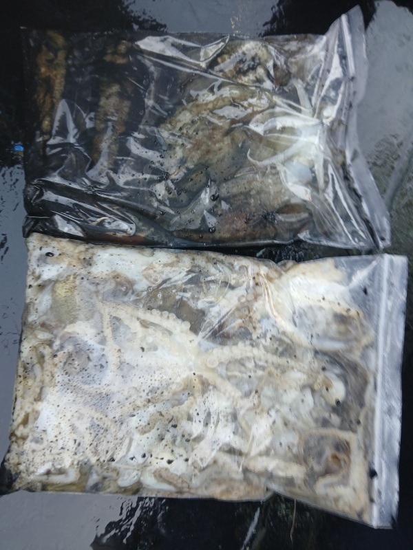 90139fde86d045a2674665277807724b_1792840171_1509.jpg